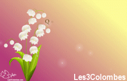 Quelques brins de muguet ...