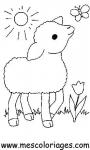 coloriages de moutons