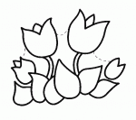 coloriages de tulipes