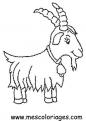 coloriage mouton 07