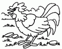 coloriage coq 19