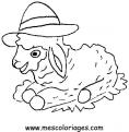 coloriage mouton 18