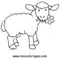 coloriage mouton 09