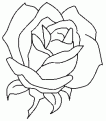 coloriage rose 24