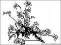 coloriages-paques-030