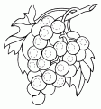 coloriage raisin 23