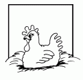 coloriage poule 21