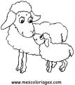 coloriage mouton 14