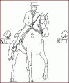 coloriage cheval 26