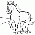 coloriage cheval 71