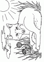 coloriage renard 09