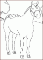 coloriage cheval 24