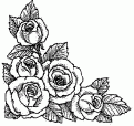 coloriage rose 21