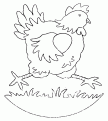 coloriage poule 01