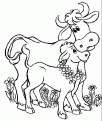 coloriage vache 20