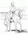 coloriage cheval 67