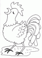 coloriage poule 07