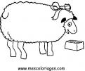 coloriage mouton 05