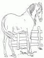 coloriage cheval 28