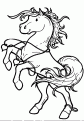 coloriage cheval 30