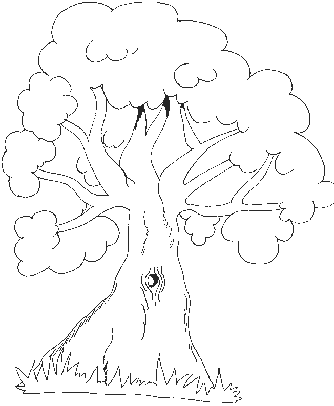 coloriage arbre 05