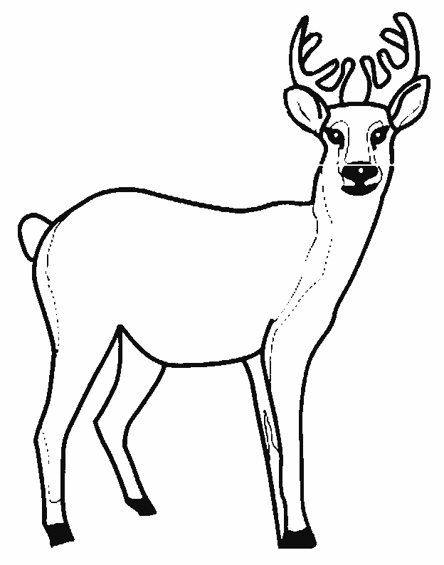 coloriage cerf 01