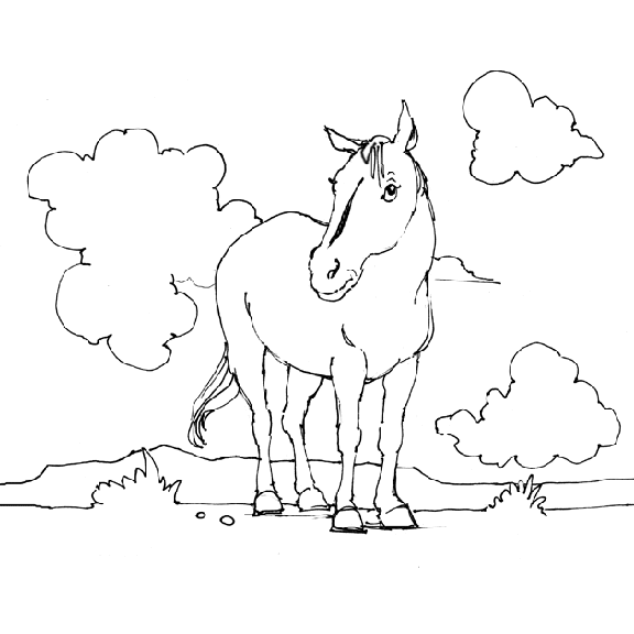 coloriage cheval 13