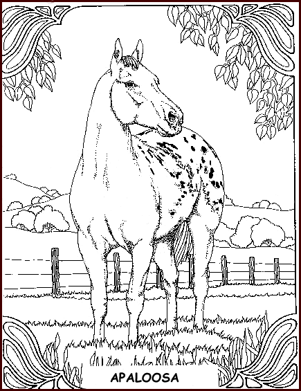 coloriage cheval 20