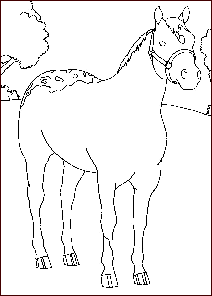 coloriage cheval 24