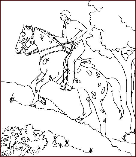 coloriage cheval 33