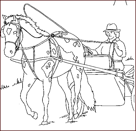 coloriage cheval 36