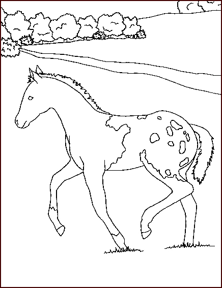 coloriage cheval 38