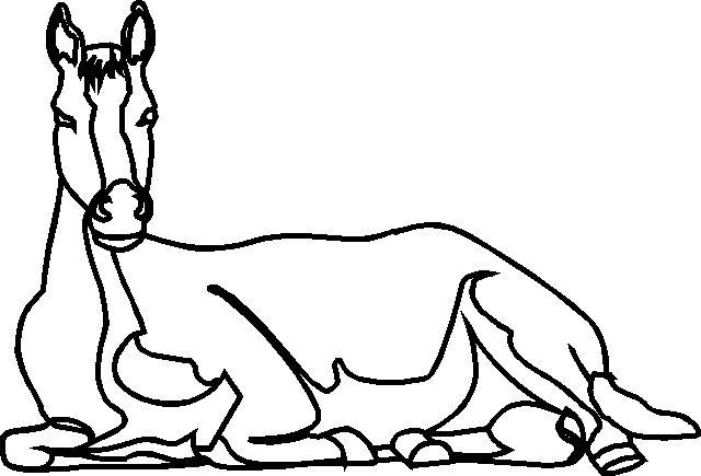 coloriage cheval 53