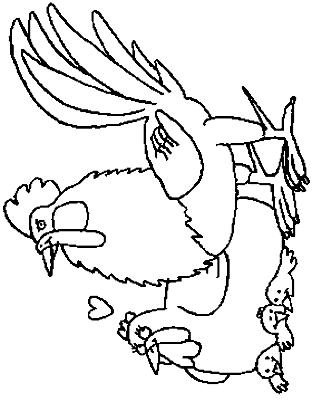 coloriage coq 24