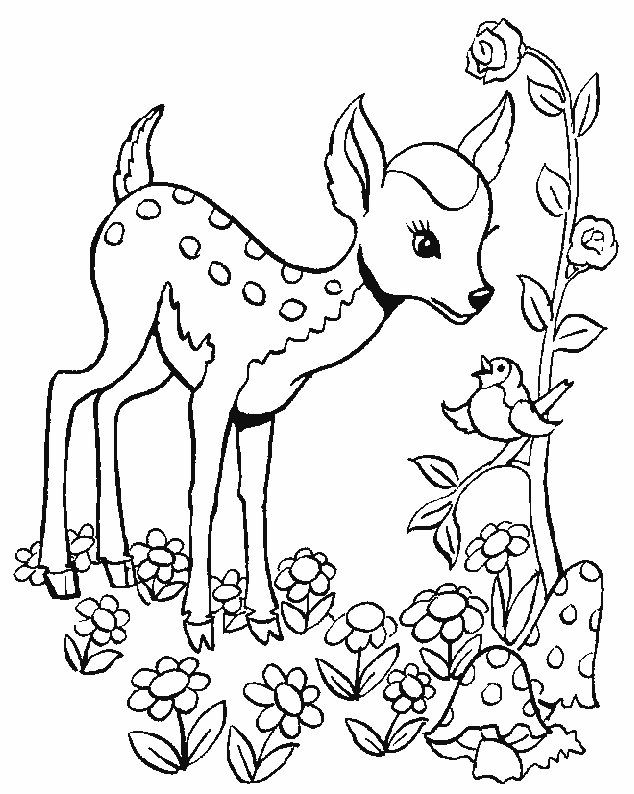coloriage faon 04