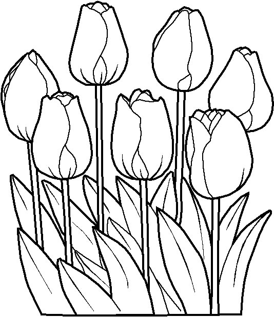 coloriage fleur 02