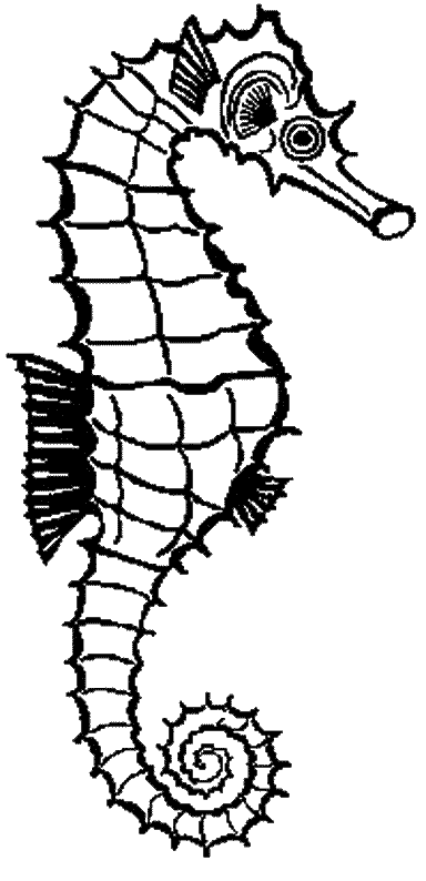 coloriage hippocampe 24