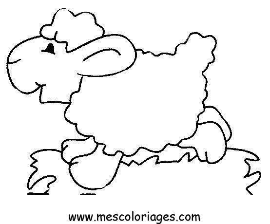 coloriage mouton 12