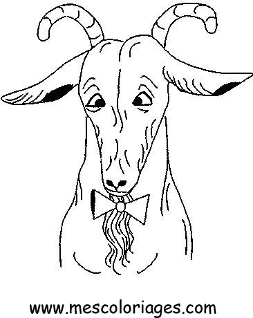 coloriage mouton 17