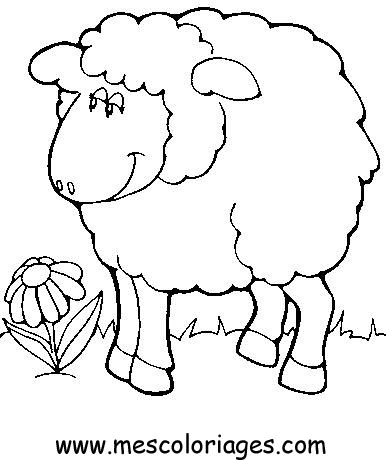 coloriage mouton 20