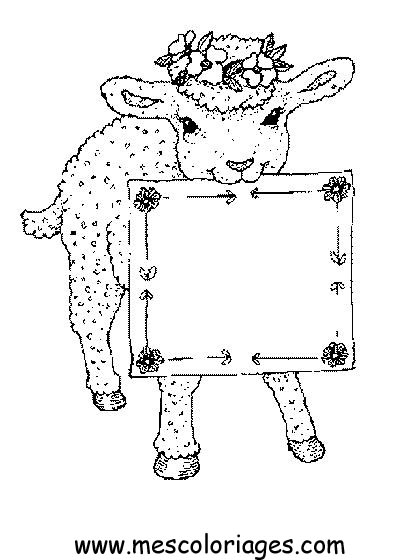 coloriage mouton 40