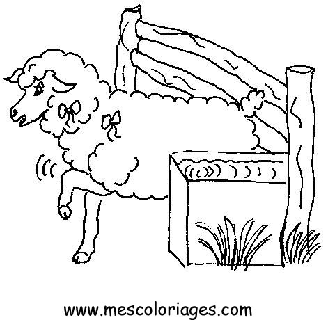 coloriage mouton 47