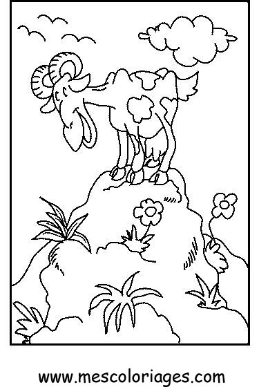 coloriage mouton 53