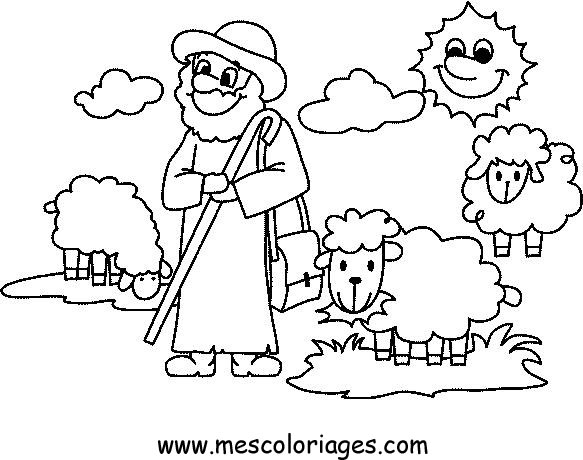 coloriage mouton 55