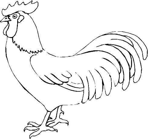 coloriage poule 12