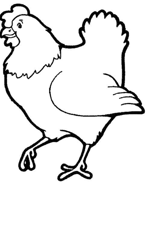 coloriage poule 16