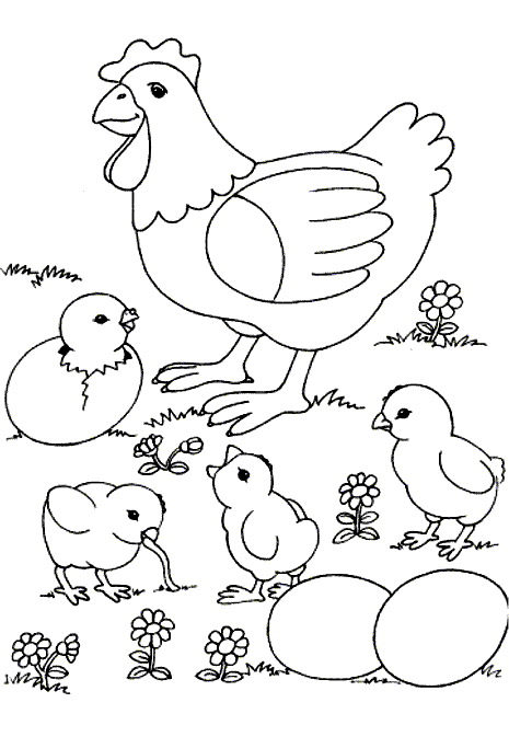 coloriage poule 23