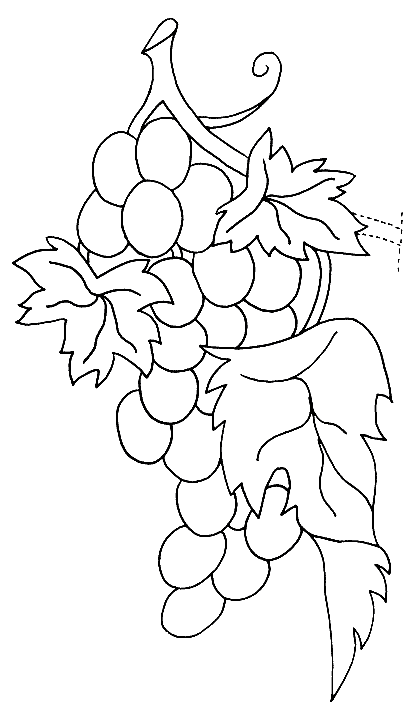 coloriage raisin 08