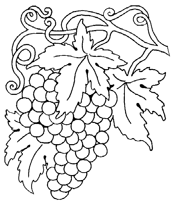 coloriage raisin 12