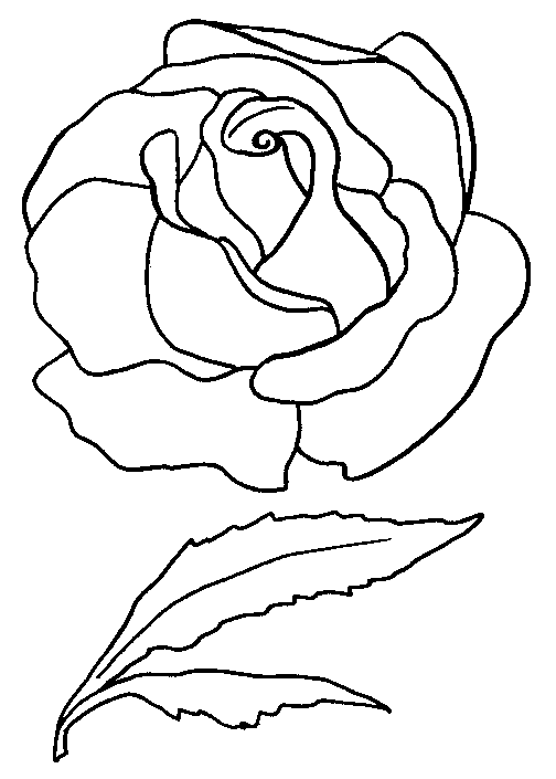 coloriage rose 10